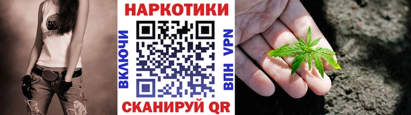 Как найти наркотики Железногорск-Илимский Галлюциногенные грибы  Гашиш  СК 