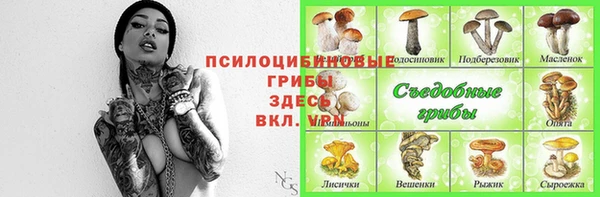 СК Кострома