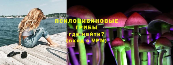 СК Кострома