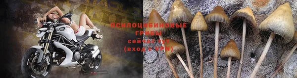 гашиш Горнозаводск