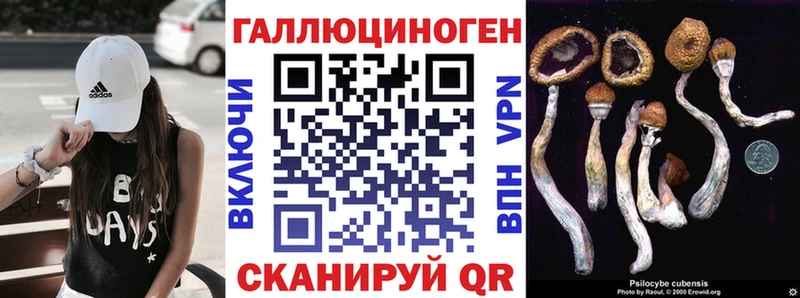 Псилоцибиновые грибы прущие грибы Железногорск-Илимский